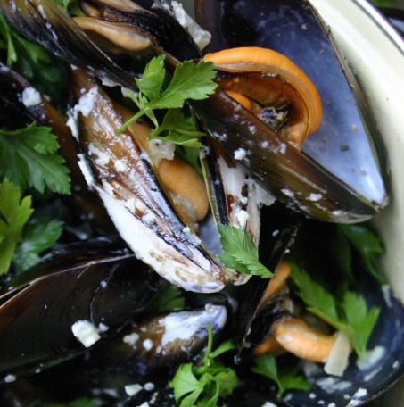 The Good Greeff - Marseille mussels with a creamy white wine sauce